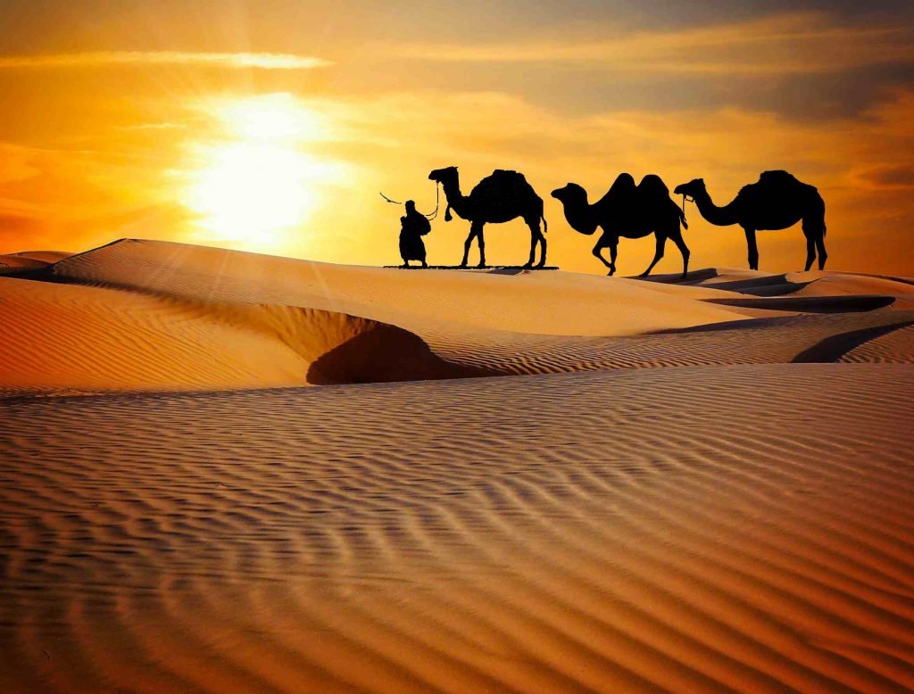 Desert Culture Rajasthan Holiday Trip Package
